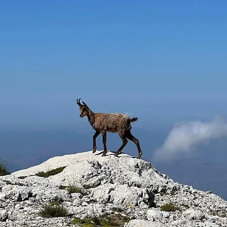 La Transiberiana Pettorano sul Gizio