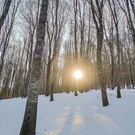 Lägenhet La Transiberiana