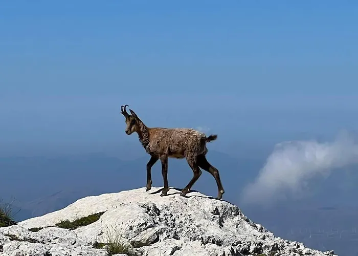 La Transiberiana Pettorano sul Gizio