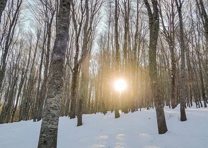 Apartman La Transiberiana